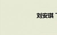 刘安琪 飞虎出征