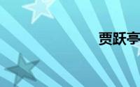 贾跃亭FF上市
