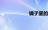 镜子里的人说假话