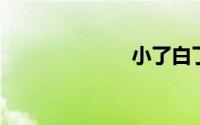 小了白了兔歌曲