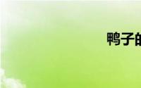 鸭子的英文