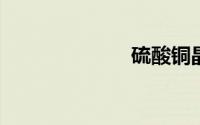硫酸铜晶体制作