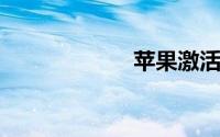 苹果激活日期查询