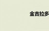 金吉拉多少钱一只