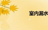 室内漏水精准定位
