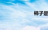 柿子是水果吗