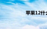 苹果12什么时候开售
