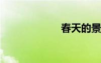 春天的景色简笔画