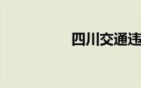 四川交通违章查询系统