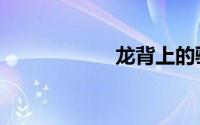 龙背上的骑兵3壁纸