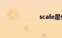 scale是什么意思