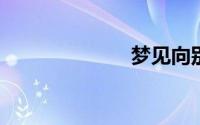 梦见向别人借钱