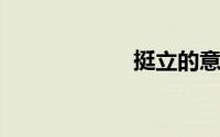 挺立的意思是什么