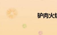 驴肉火烧的做法