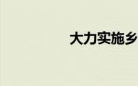 大力实施乡村振兴战略