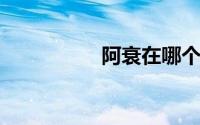 阿衰在哪个软件可以看