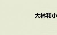 大林和小林的故事