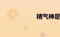精气神是什么意思