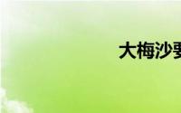 大梅沙要门票吗