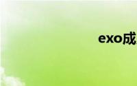 exo成员名字