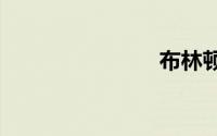 布林顿6000