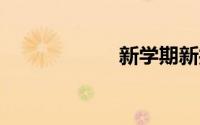 新学期新打算50字