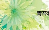 青苔怎么养