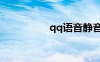 qq语音静音对方知道吗