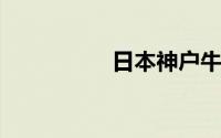 日本神户牛肉多钱一斤