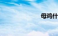 母鸡什么意思