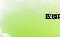 玫瑰花寓意