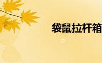 袋鼠拉杆箱质量怎么样