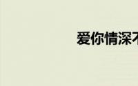 爱你情深不负楚佳人