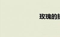 玫瑰的折法视频
