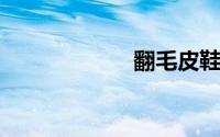 翻毛皮鞋怎么打理