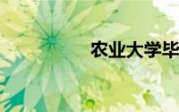 农业大学毕业后干什么