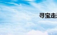 寻宝走进2010