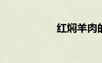红焖羊肉的家常做法