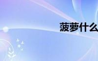 菠萝什么时候上市