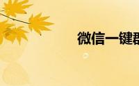 微信一键群发所有群