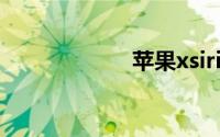 苹果xsiri怎么打开