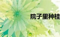 院子里种桂花树的禁忌