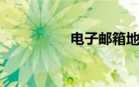 电子邮箱地址怎么填写