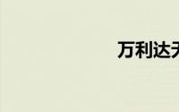 万利达无绳电视