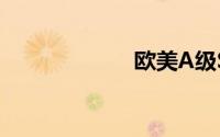 欧美A级SUV大全