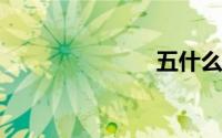 五什么什么粗