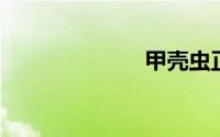 甲壳虫正式停产