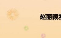 赵丽颖发型编发