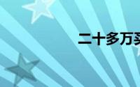 二十多万买什么车好