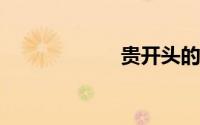 贵开头的成语接龙